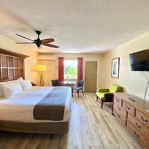 Habitación Estándar con Cama King con Vistas a la Playa